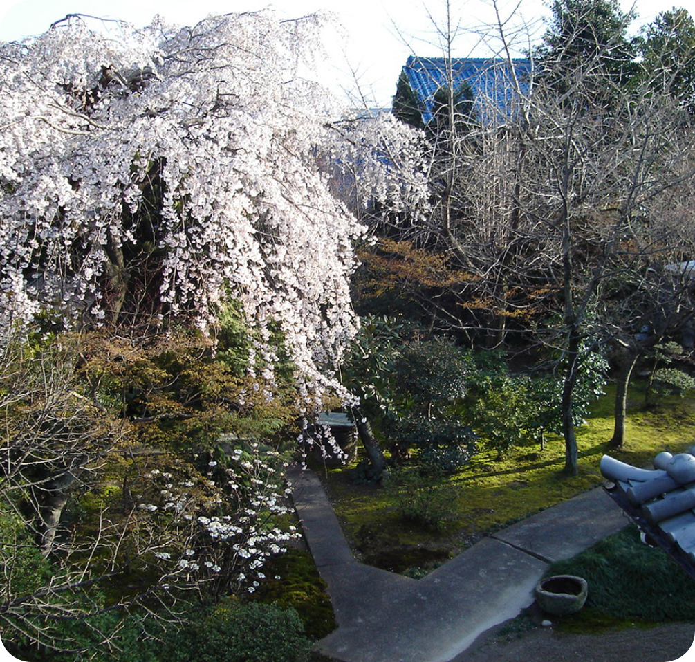 一宮市千秋 法林寺紹介2