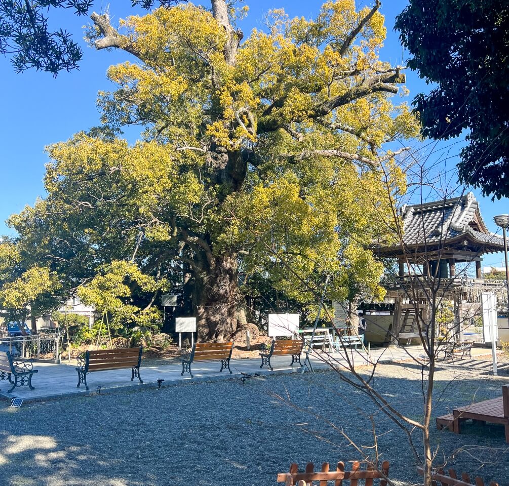 磐田西光寺紹介2