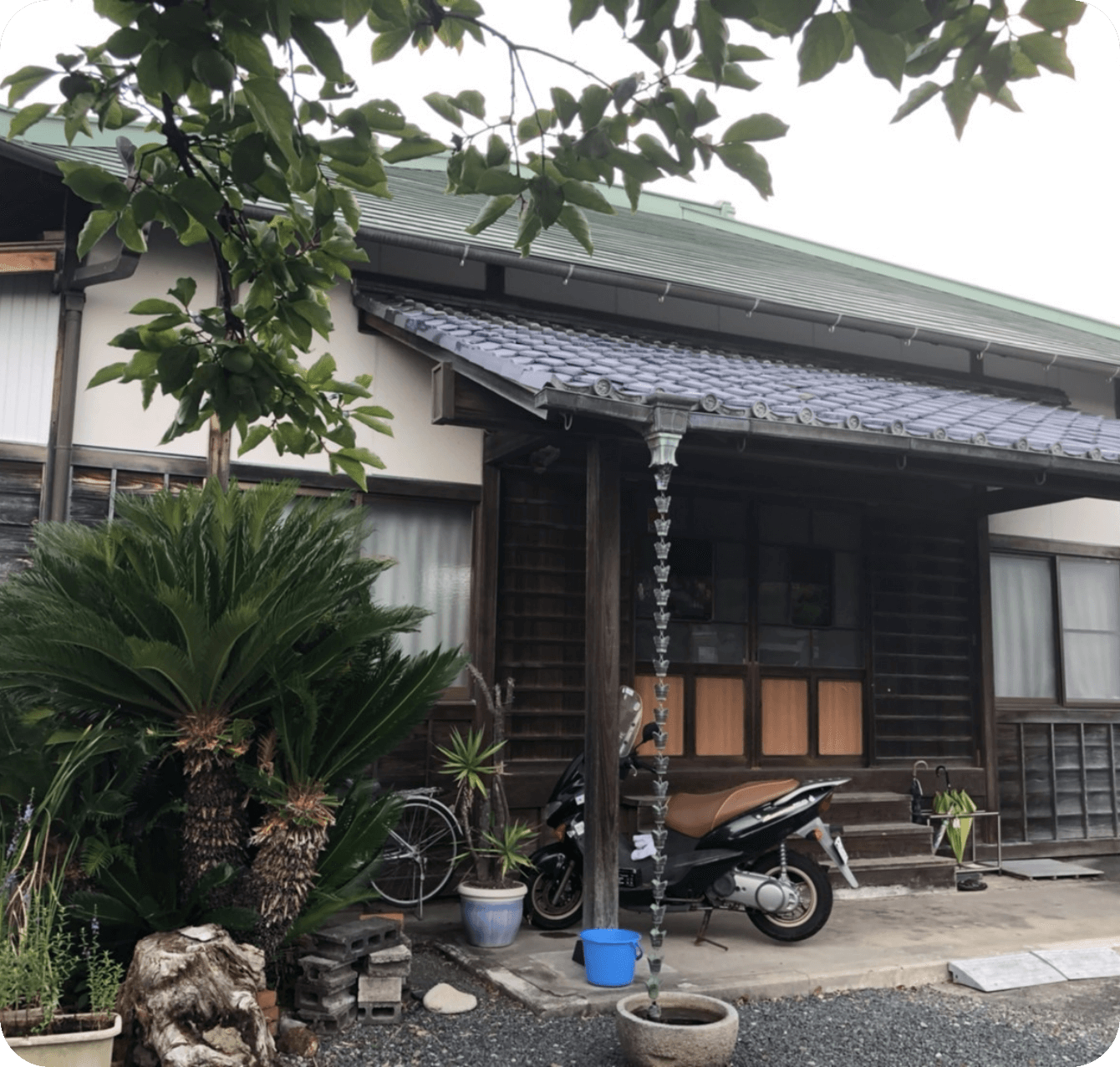 掛川 徳雲寺紹介2