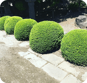 日蓮宗本妙寺4