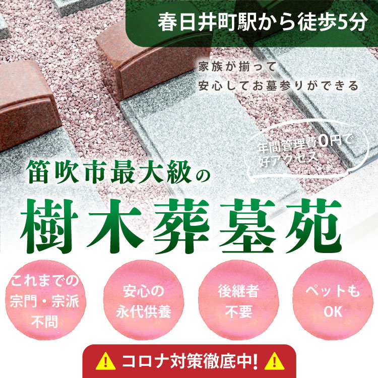 リーフログ笛吹