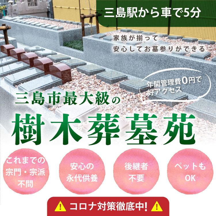 リーフログ三島